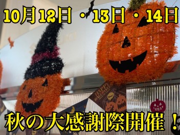 秋の大感謝祭開催！！